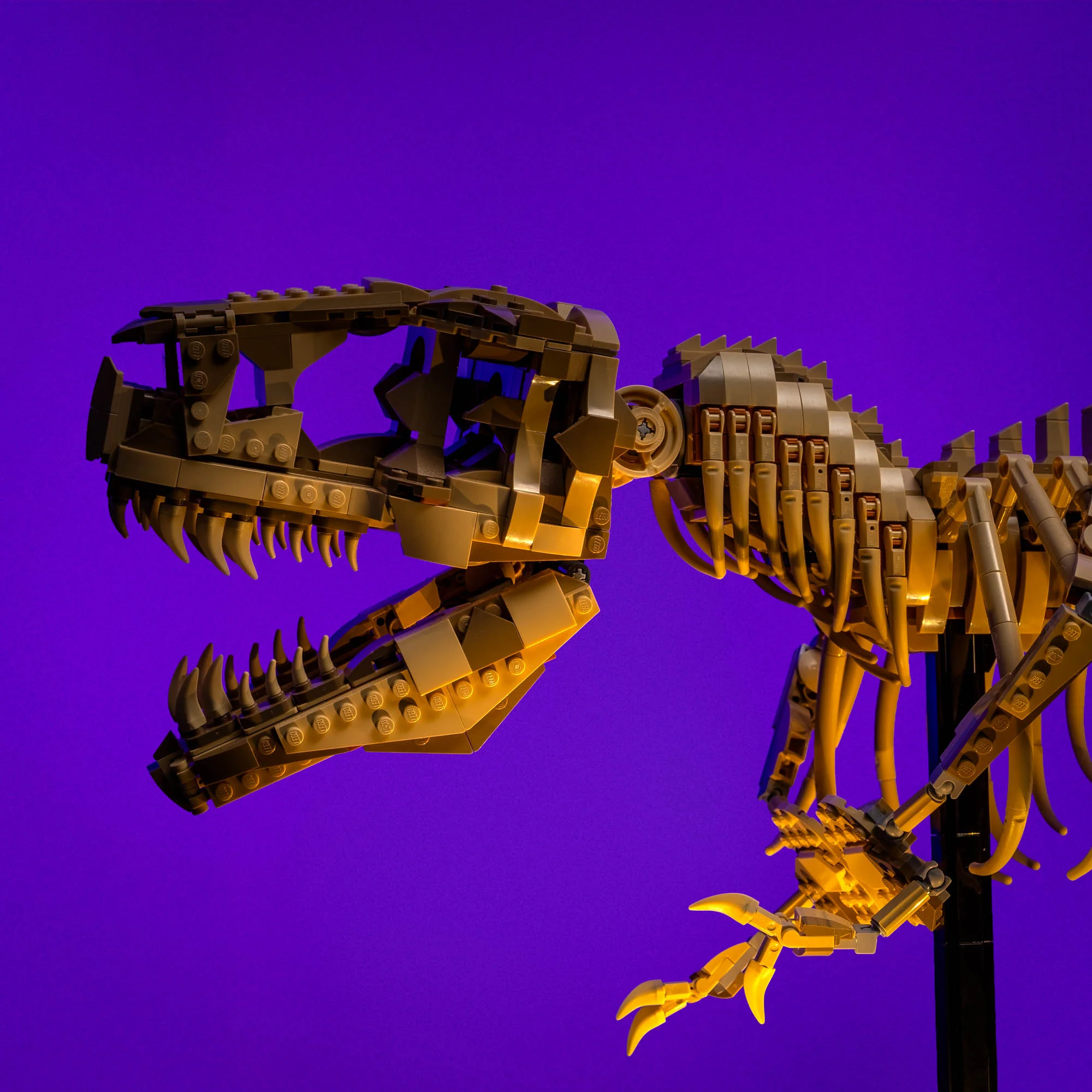 Light Kit for LEGO® Dinosaur Fossils: Tyrannosaurus rex #76968 - Image 7