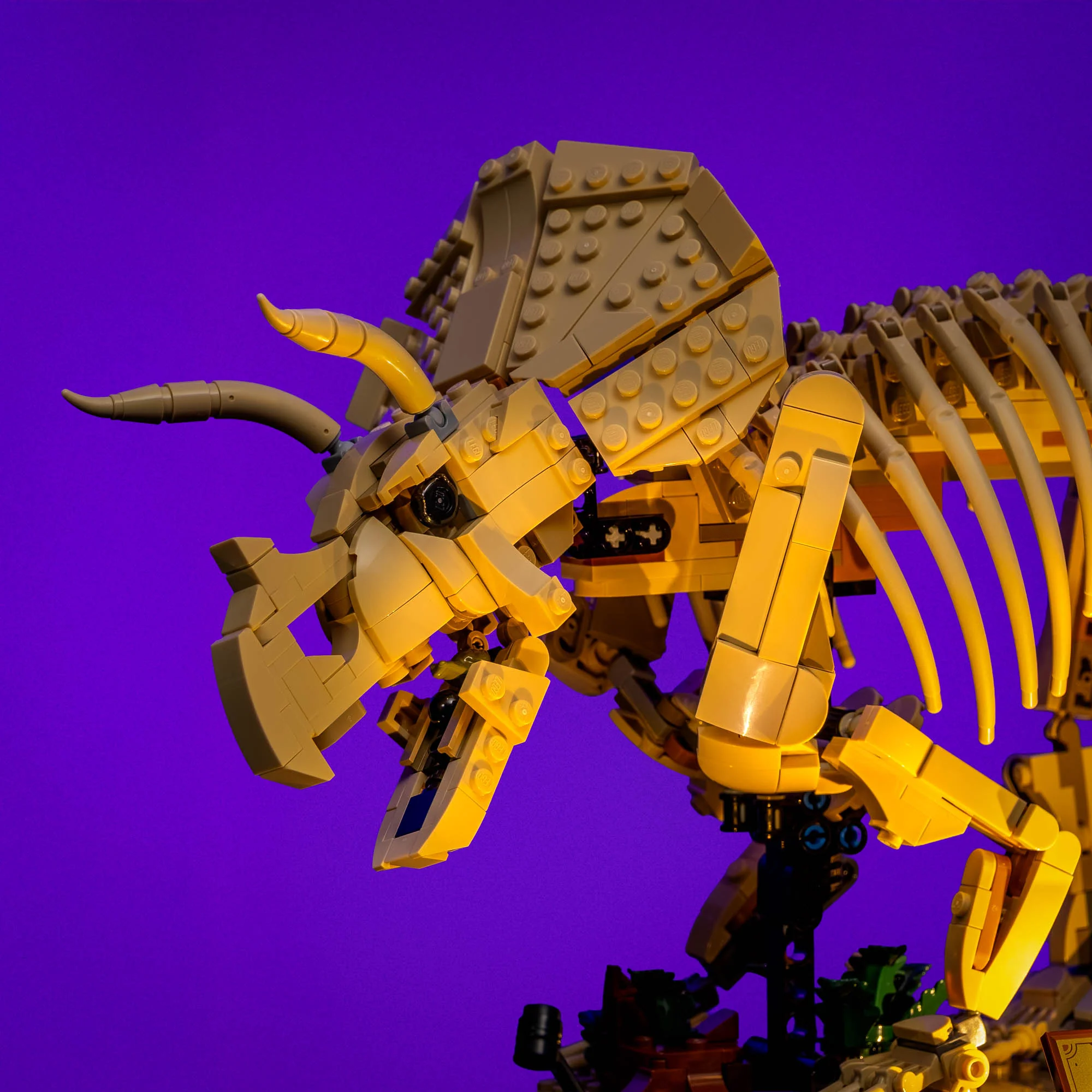 Light Kit for LEGO® Jurassic World Dinosaur Fossils: Triceratops #77985 - Image 7