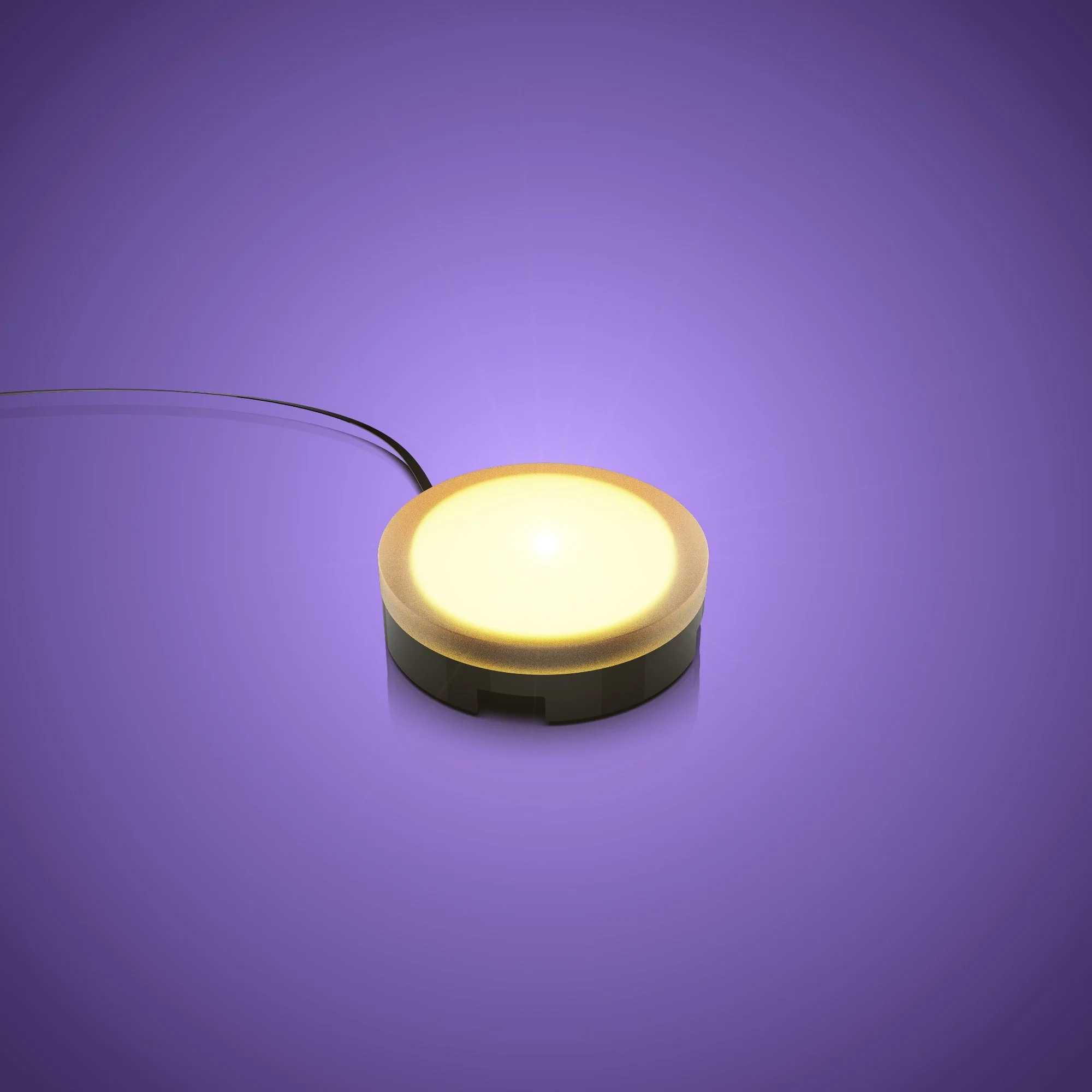 Solar Light - Warm White 30cm (2 Pack)