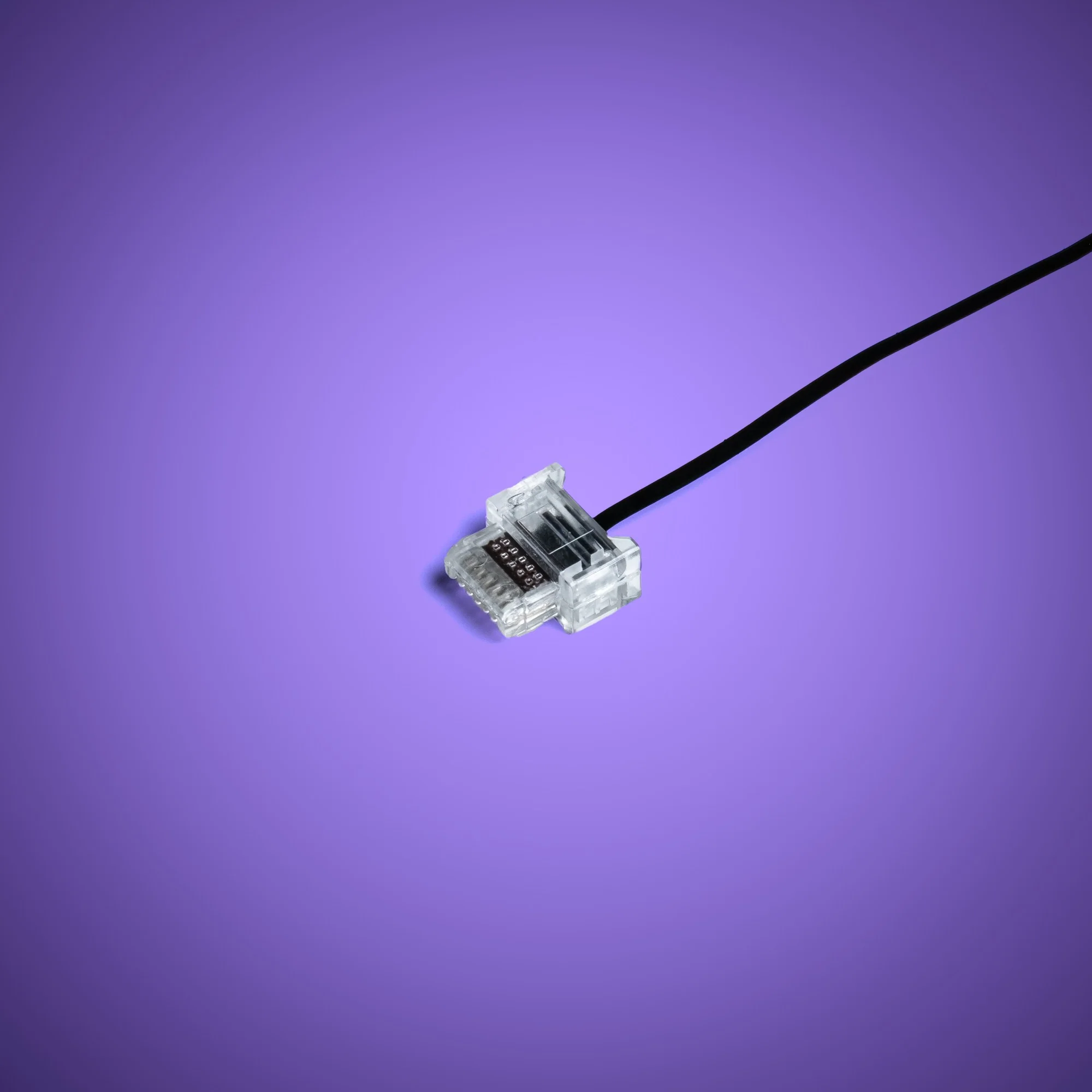 Powered Up Belt - 15cm